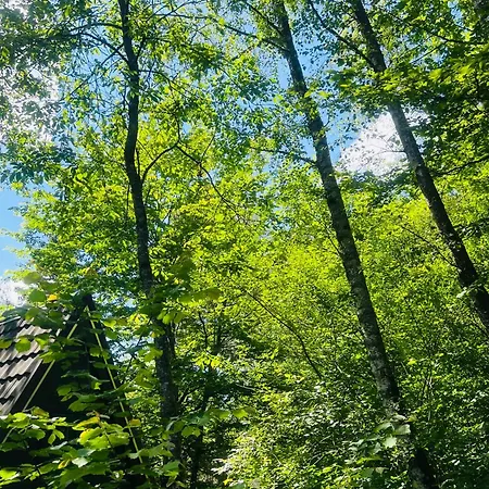 Fourseasons * Durbuy