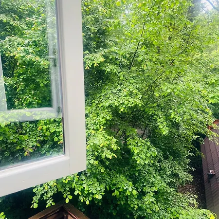 בקתה Fourseasons