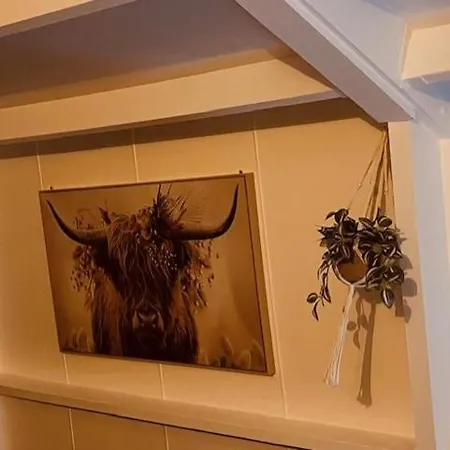 Fourseasons דורבורי